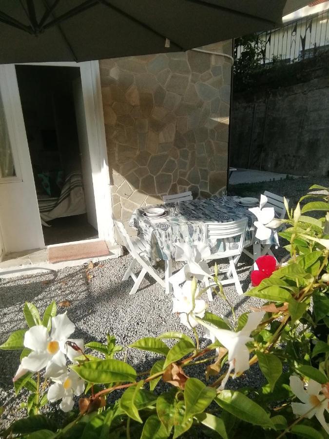 Villa Daniela - Mare E Relax Sanremo Exteriör bild